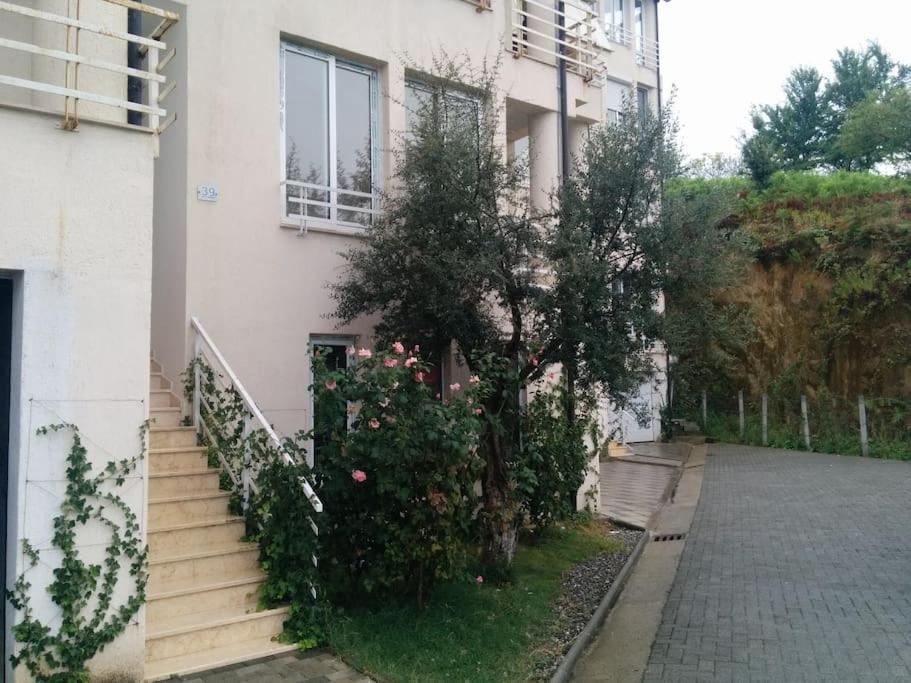 Exclusive Apartment Tiranë Eksteriør bilde