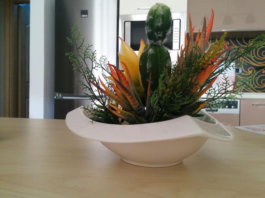 Exclusive Apartment Tiranë Eksteriør bilde