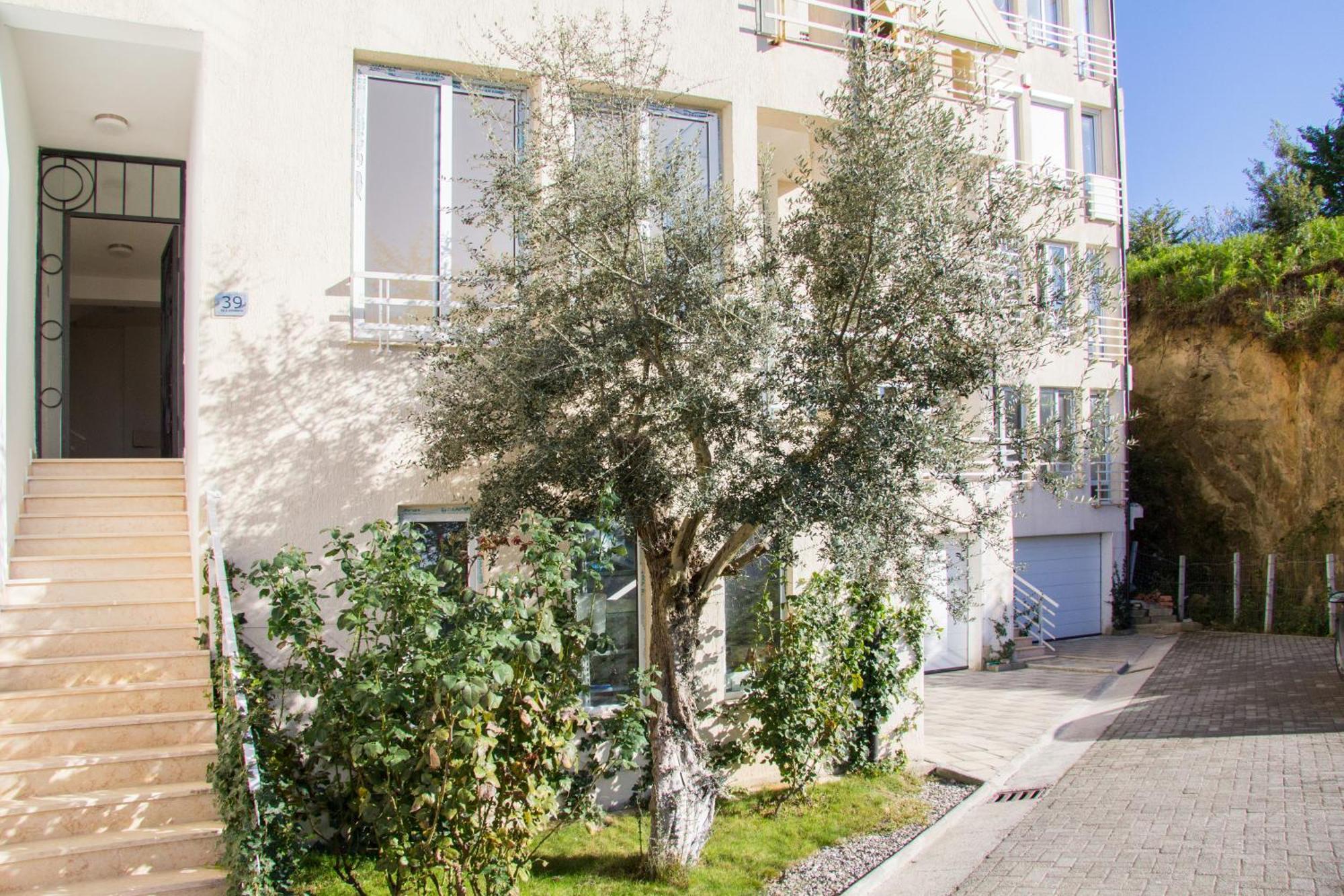 Exclusive Apartment Tiranë Eksteriør bilde